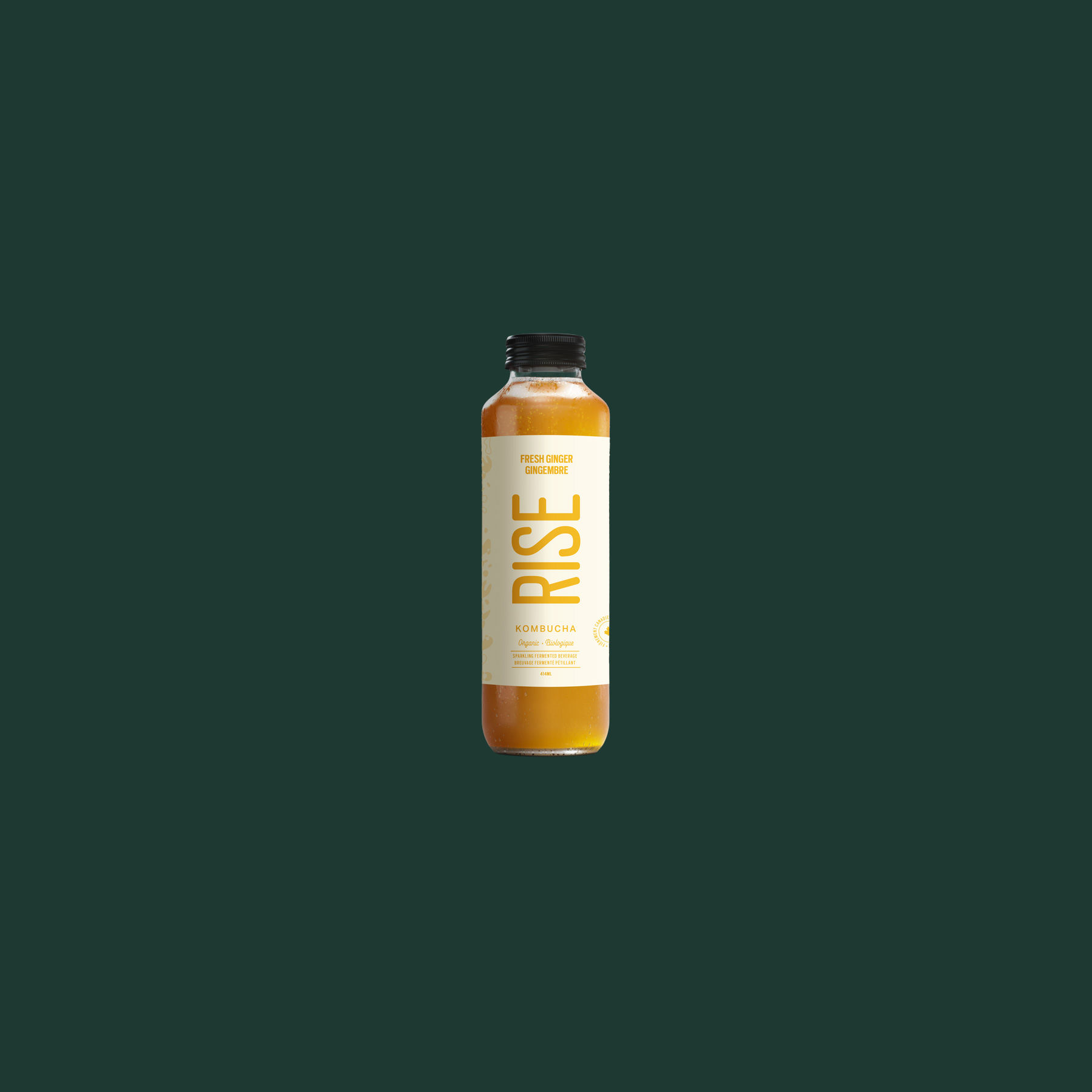 RISE Kombucha Fresh Ginger